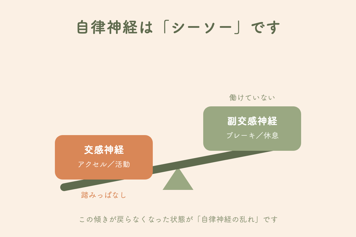 交感神経と副交感神経のシーソーの図
